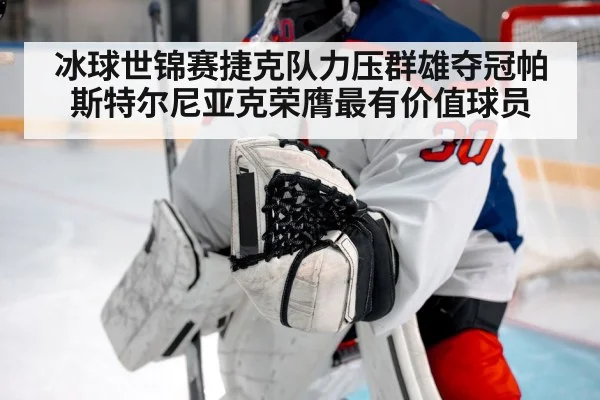 冰球世锦赛捷克队力压群雄夺冠帕斯特尔尼亚克荣膺最有价值球员