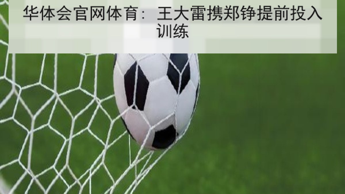 华体会官网体育: 王大雷携郑铮提前投入训练